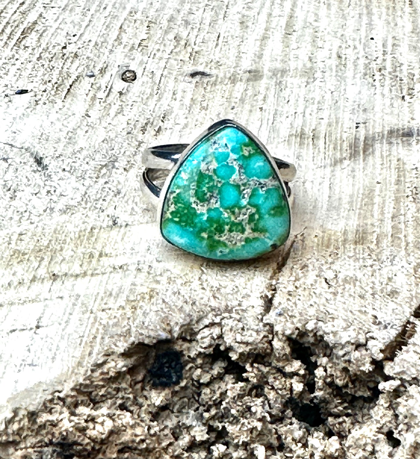 Sonoran Gold Turquoise Double Band Ring